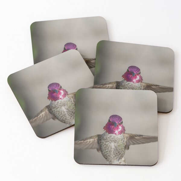 Item preview, Anna's Hummingbird designed and sold by MCHerdering Photography.