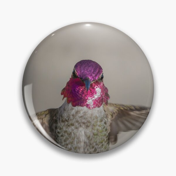 Item preview, Anna's Hummingbird designed and sold by MCHerdering Photography.