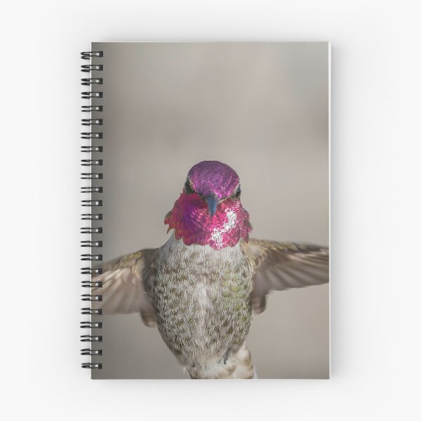 Item preview, Anna's Hummingbird designed and sold by MCHerdering Photography.