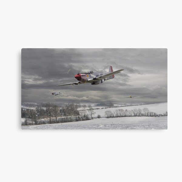 P51 Mustang - Winter Freedom Metal Print