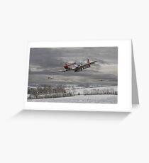 P51 Mustang - Winter Freedom Greeting Card