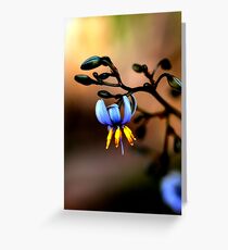Watercolour In Blue Greeting Card