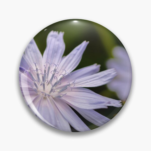 Item preview, Purple chicory flower designed and sold by lena-maximova.