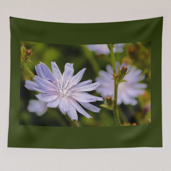 Item preview, Purple chicory flower designed and sold by lena-maximova.
