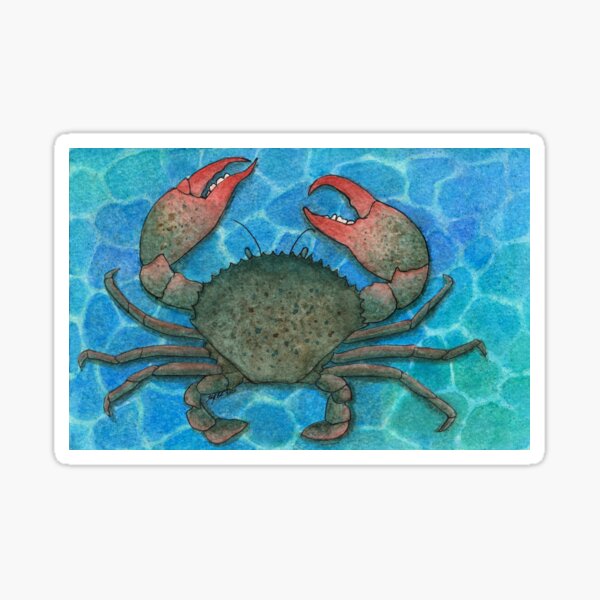 Mud Crab Sticker