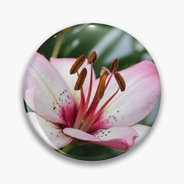 Item preview, Pink lily flower designed and sold by lena-maximova.