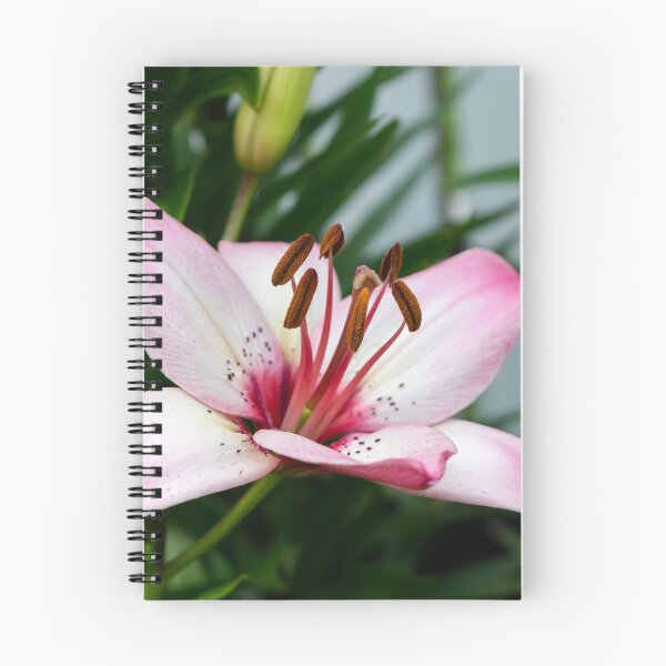 Item preview, Pink lily flower designed and sold by lena-maximova.