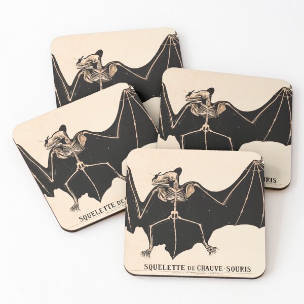 Item preview, Vintage French zoological board - Bat skeleton designed and sold by DejaVuStudio.