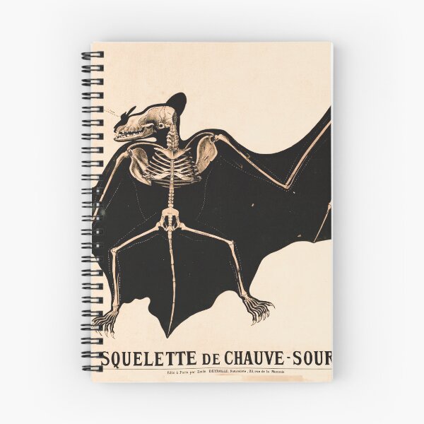 Item preview, Vintage French zoological board - Bat skeleton designed and sold by DejaVuStudio.