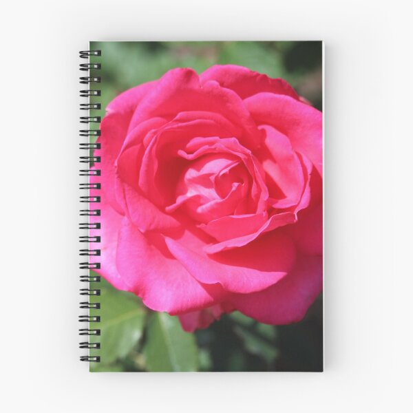 Item preview, Astounding Glory Rose designed and sold by Cynthia48.