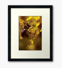 Small world Framed Print