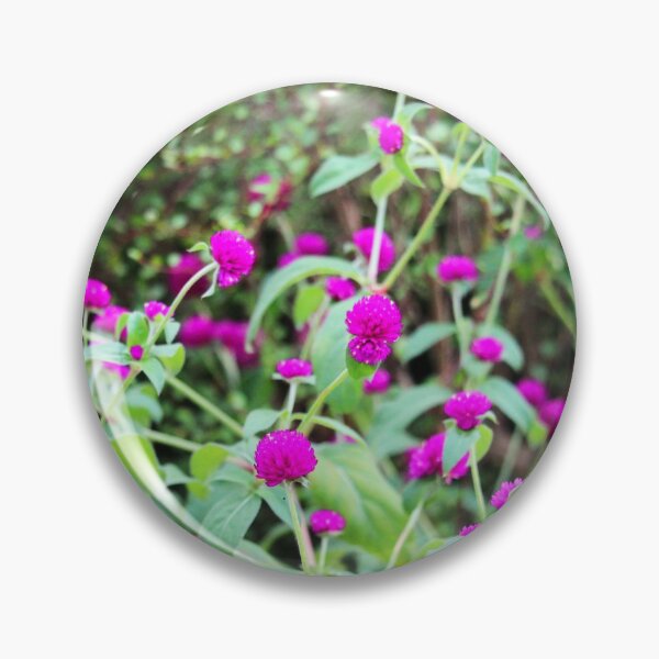 Item preview, Plum Globe Amaranth designed and sold by Cynthia48.