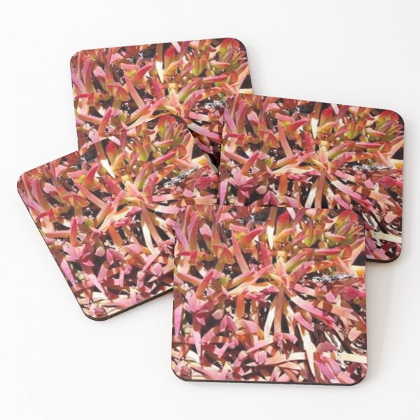 Item preview, Red Succulents designed and sold by craftsbydaphy.