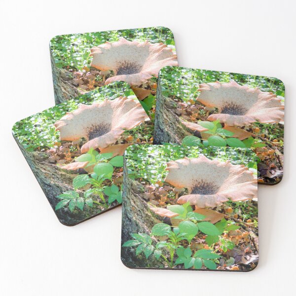Item preview, Mushrooms In Mayne's Grove designed and sold by LynyrdSky.
