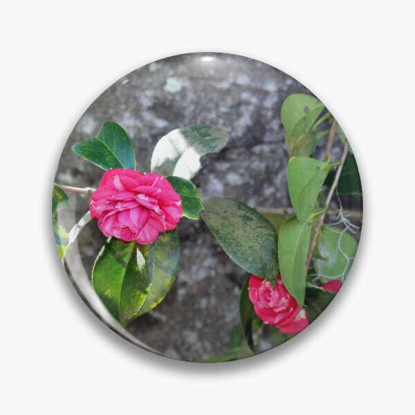 Item preview, Camellia Vine Around Tree designed and sold by Cynthia48.