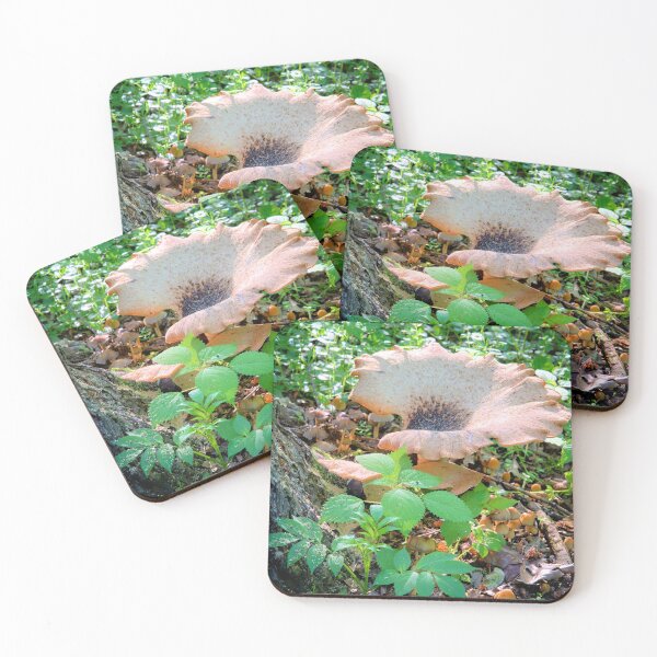 Item preview, Mushrooms In Mayne's Grove 2 designed and sold by LynyrdSky.