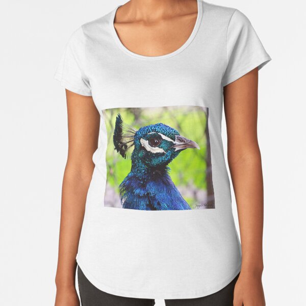Peacocks womens clothing sale top