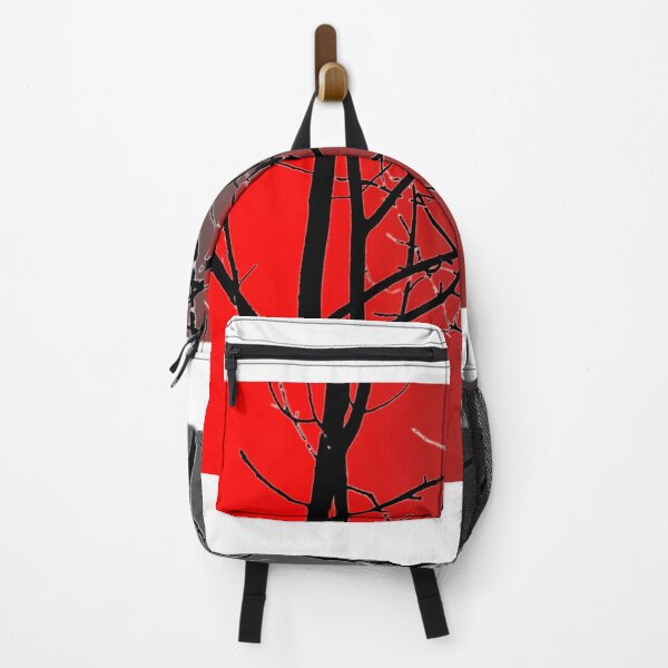 Red And Gray Backpack