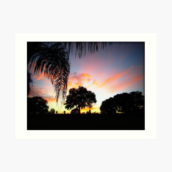 November Sunset in Florida Art Print