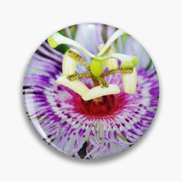 Item preview, Passion Flower designed and sold by Cynthia48.