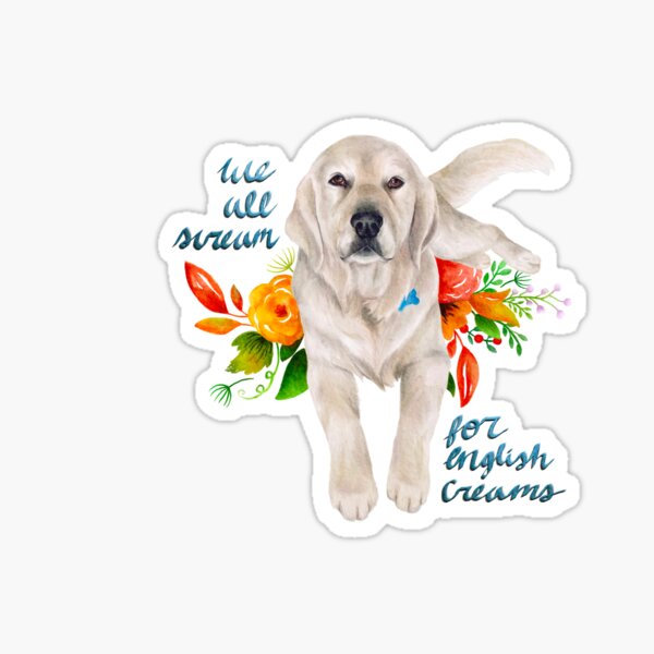 English cream deals golden retriever gifts