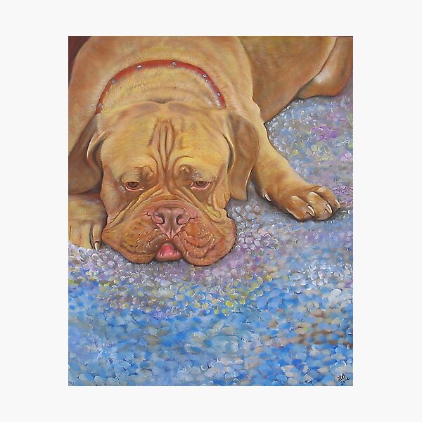 Item preview, Bordeaux Dog designed and sold by Laura Barbosa.