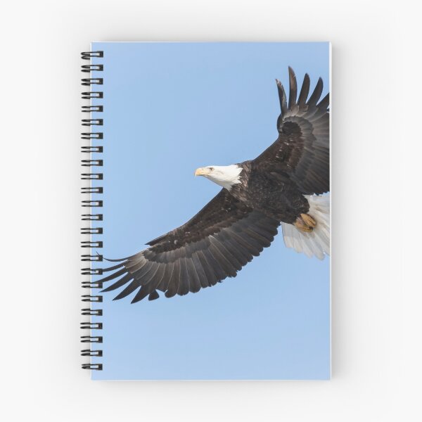 Item preview, American Bald Eagle 2015-26 designed and sold by Thomasyoung.