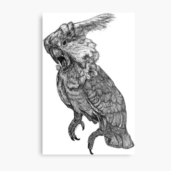 Sassy the Cockatoo Metal Print