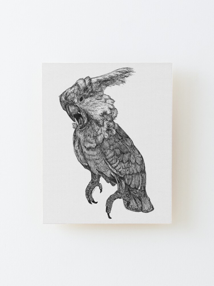 Alternate view of Sassy the Cockatoo Mounted Print
