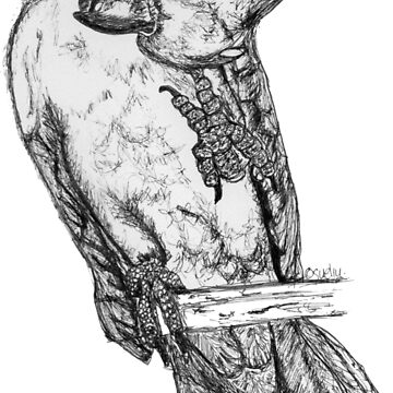 Artwork thumbnail, Frisky the Cockatoo by Wildcard-Sue