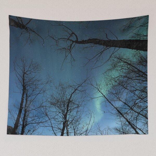 Item preview, Northern Lights from the Forest designed and sold by Tim Scott.