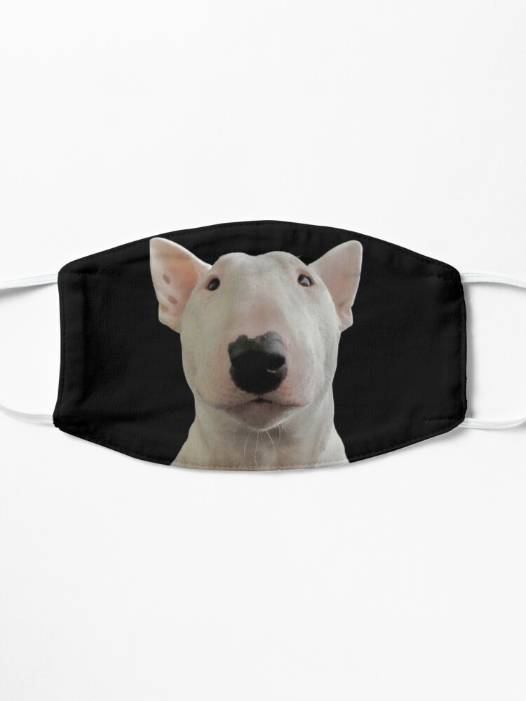 Walter meme dog hat shirt, hoodie, sweater, long sleeve and tank top