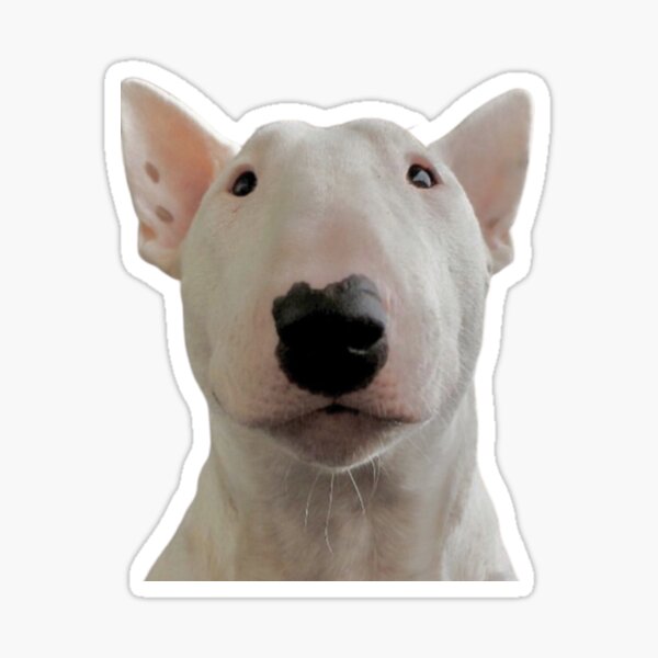 Item preview, pana walter dog designed and sold by FoxStyle.
