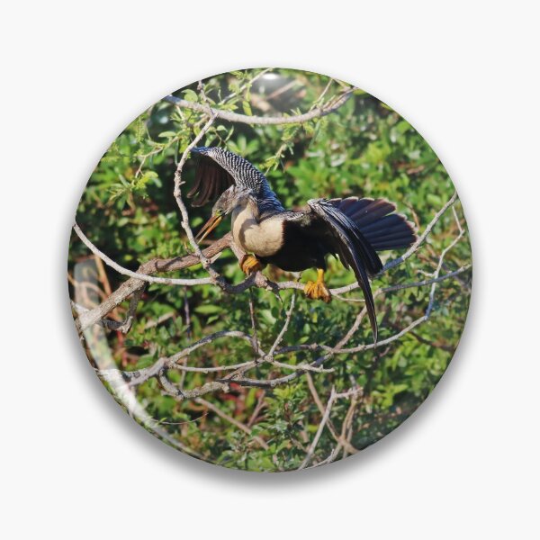 Item preview, Free-spirited Rogue designed and sold by Michiale.