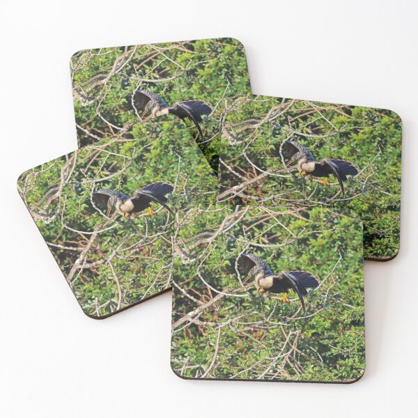 Item preview, Free-spirited Rogue designed and sold by Michiale.