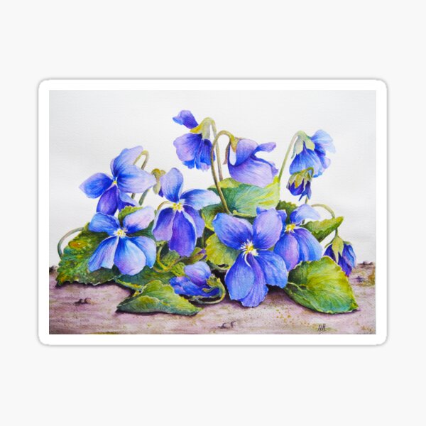Item preview, Big Violets (GMO Violets) Watercolour Painting designed and sold by Heatherian.