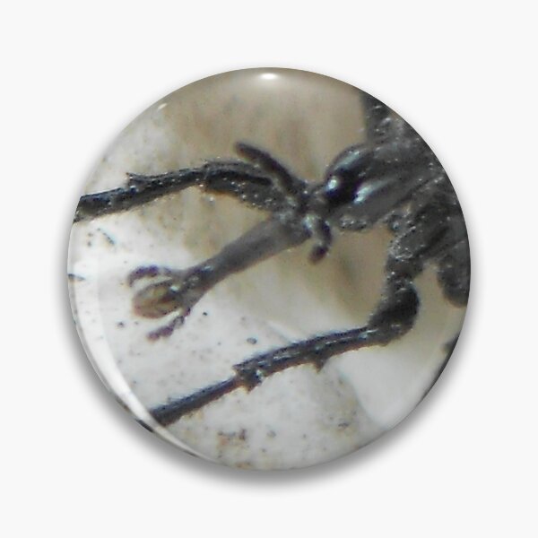 Artikelvorschau, © NS Scarab IA. entworfen und verkauft von OmarHernandez.
