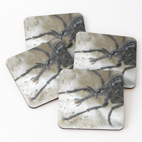 Item preview, ©NS Scarab IA. designed and sold by OmarHernandez.