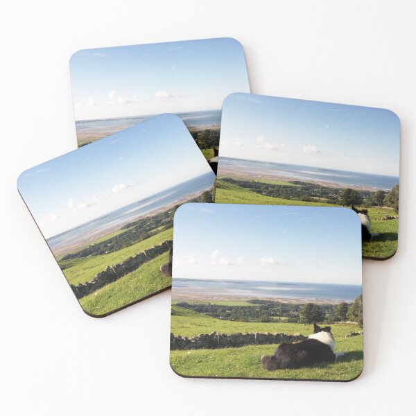 Item preview, Indys' Kingdom designed and sold by Michael Haslam.