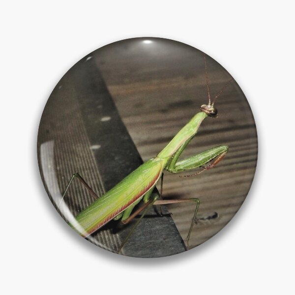Item preview, Praying Mantis designed and sold by CJGrimes.
