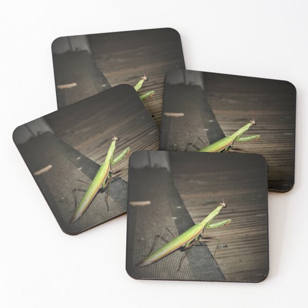 Item preview, Praying Mantis designed and sold by CJGrimes.