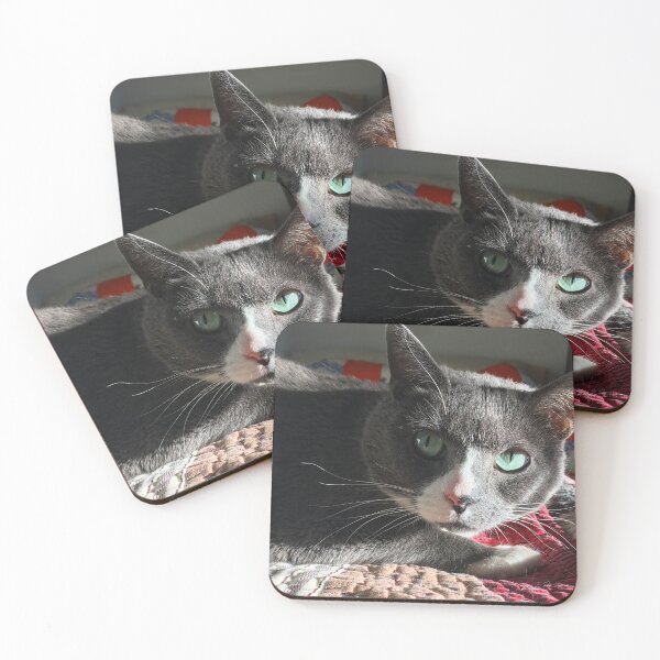 Item preview, BANJO THE CAT designed and sold by Papergreat.