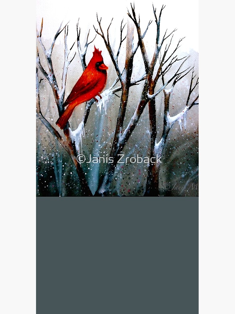 Cardinal.. by paintability