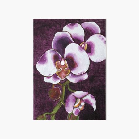 Harlequin Phalaenopsis Orchid Art Board Print