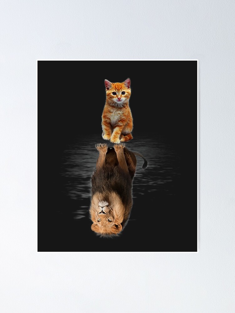 Alternate view of Funny Cat , Kitten Cat and Lion Mirror Poster