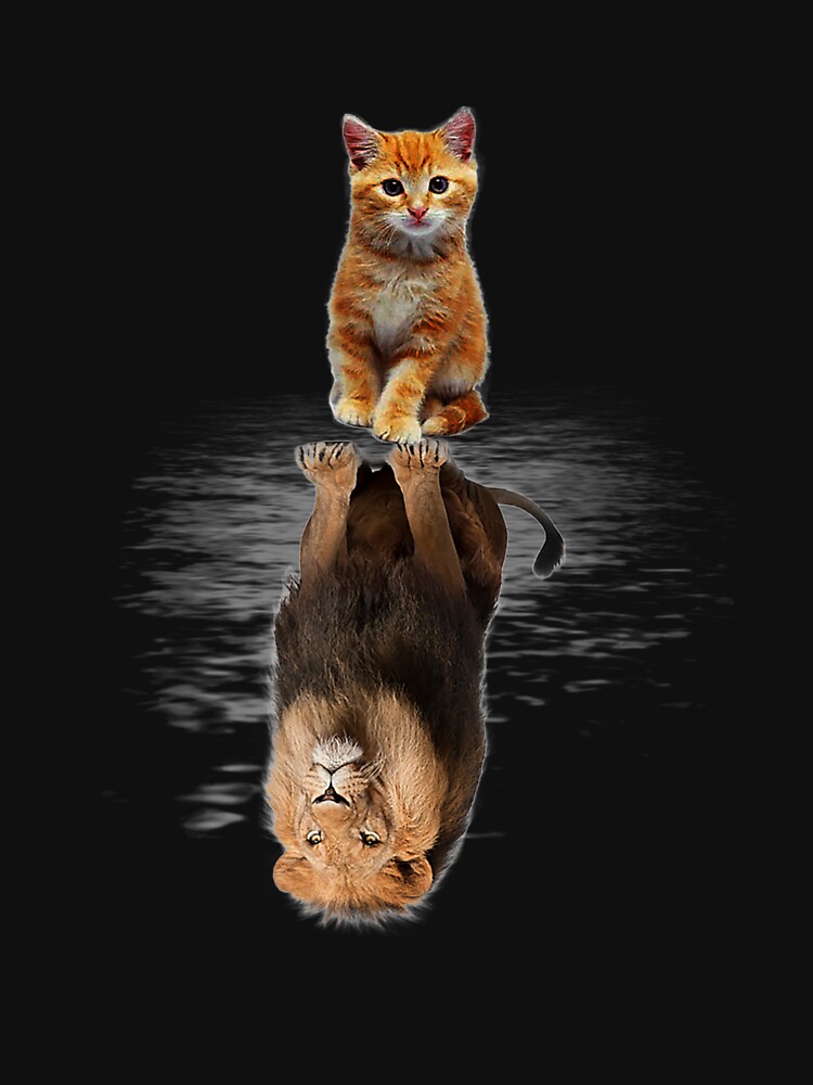 Funny Cat , Kitten Cat and Lion Mirror by OzkutHalman