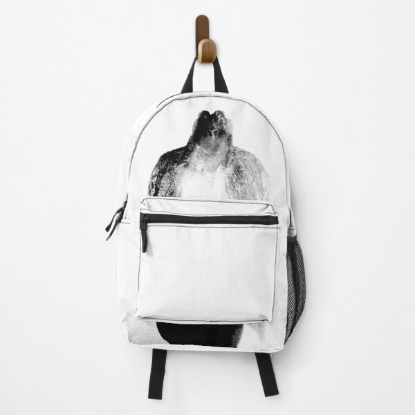 Future  Backpack