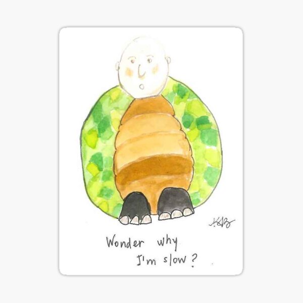 Wonder why I'm slow? Sticker