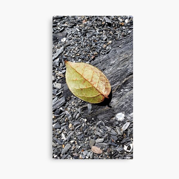 Item preview, Leaf on the beach  designed and sold by Krystal  Thomas.