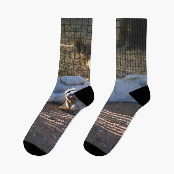 Item preview, Lion cubs playing together designed and sold by Carmen Jost.